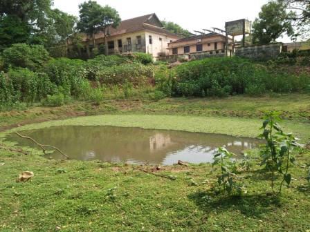 Water Body inside campus