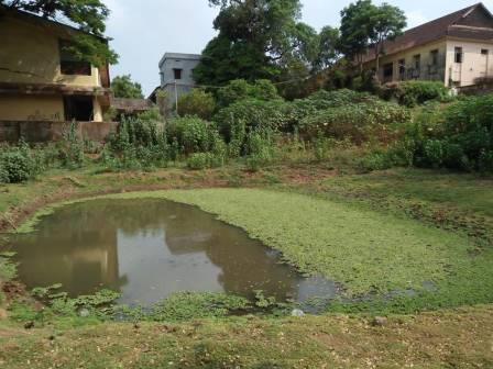 Water Body inside campus